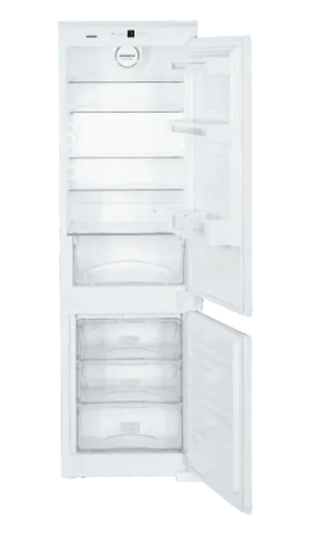 CBNPes 3956