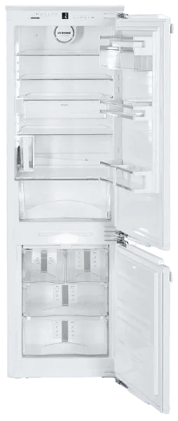 CBNP 3956